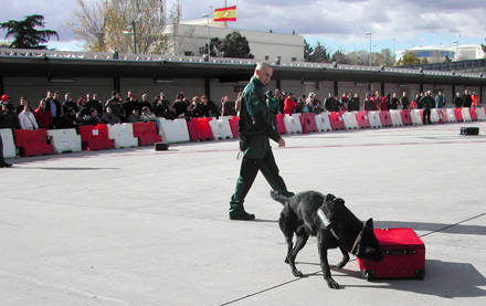 perros Guardia Civil