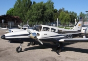 Piper Seneca