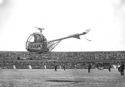 TAF