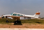Beech Musqueter