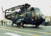 Sea King