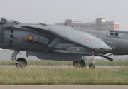 Harrier