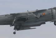 Harrier
