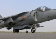 Harrier