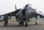 Harrier