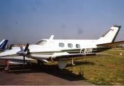 Beech Duke