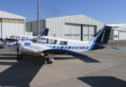 Piper Seneca
