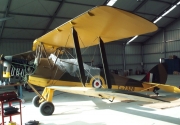 Tiger Moth