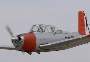 Beech Mentor