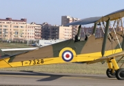 Tiger Moth