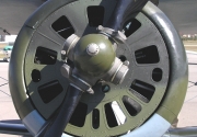Polikarpov I-153