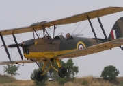 Tiger Moth