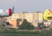 Yak 52