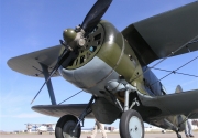 Polikarpov I-153