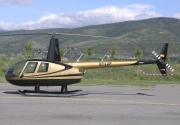 Robinson R44