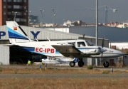 Piper Seneca