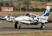 Piper Seneca