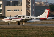Piper Seneca