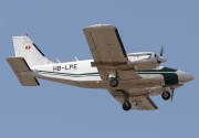 Piper Seneca