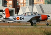 Beech Mentor