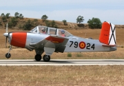 Beech Mentor