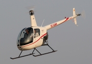 Robinson R22