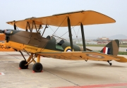 Tiger Moth
