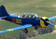 Yak 52