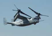 Osprey