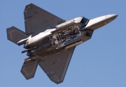 Raptor