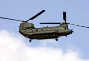 Chinook