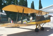 Tiger Moth