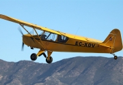 Piper Cub J3