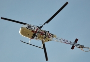 Alouette II