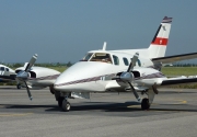 Beech Duke