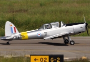 Chipmunk 22