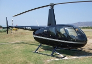 Robinson R44